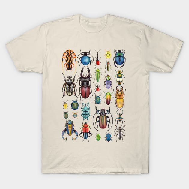 Beetle Collection T-Shirt by Oh Hokey Pokey